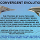 Image for article titled Some of the Most Plausible Scenarios for Alien Civilizations